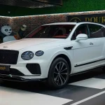 Luxury Auto Brands : Best for Pet Owners