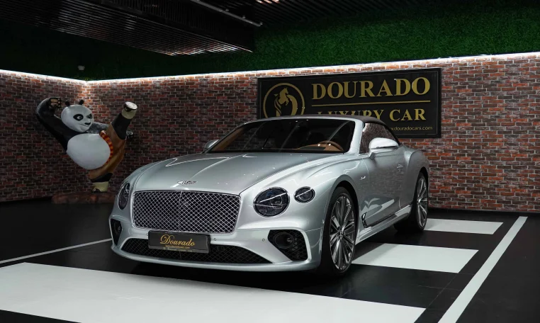 Buy Bentley GTC Speed Silver Luxury Cars