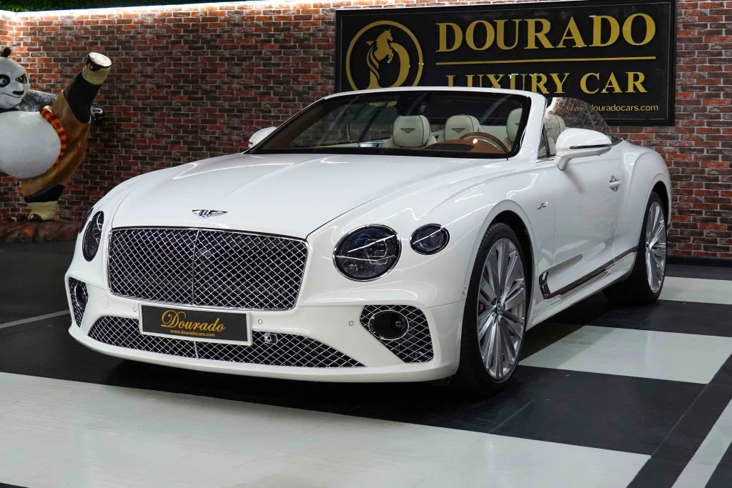 Bentley Price : Insights and Analysis