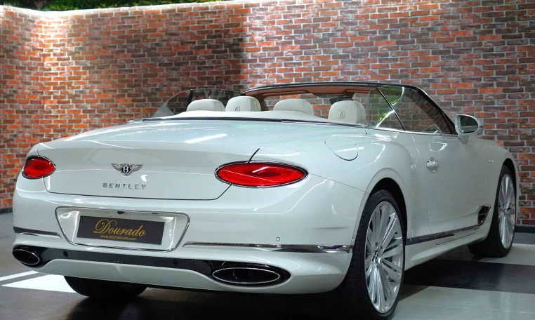 Bentley Continental GT Convertible Exotic Car for sale