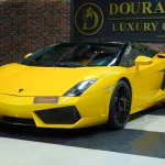 Lamborghini Gallardo : Born to Thrill
