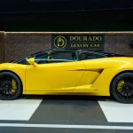 Lambo Veneno Price : A Beacon of Bespoke Beauty