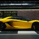Lamborghini Veneno Price: The Price Tag of Automotive Extravagance