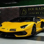 Lamborghini Car : Engineered for Thrill Seekers