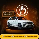 Supercar and Luxury Car