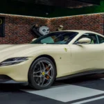 Ferrari Car : The Ultimate Supercar for the Discerning Driver