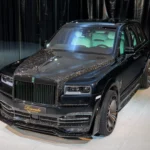 Rolls Royce Cullinan : A Luxurious Escape into the Wilderness