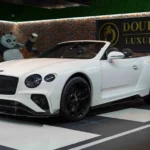 Amazing Ultimate Rarified Thrill in the bentley