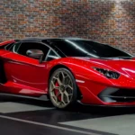 Amazing Premium SV for the First-class Guide